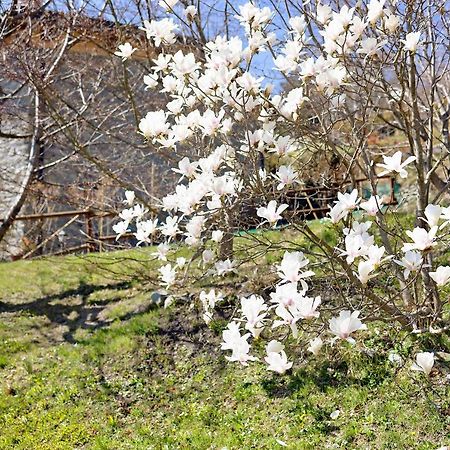 Ormea Casa Dei Tigli 빌라 외부 사진
