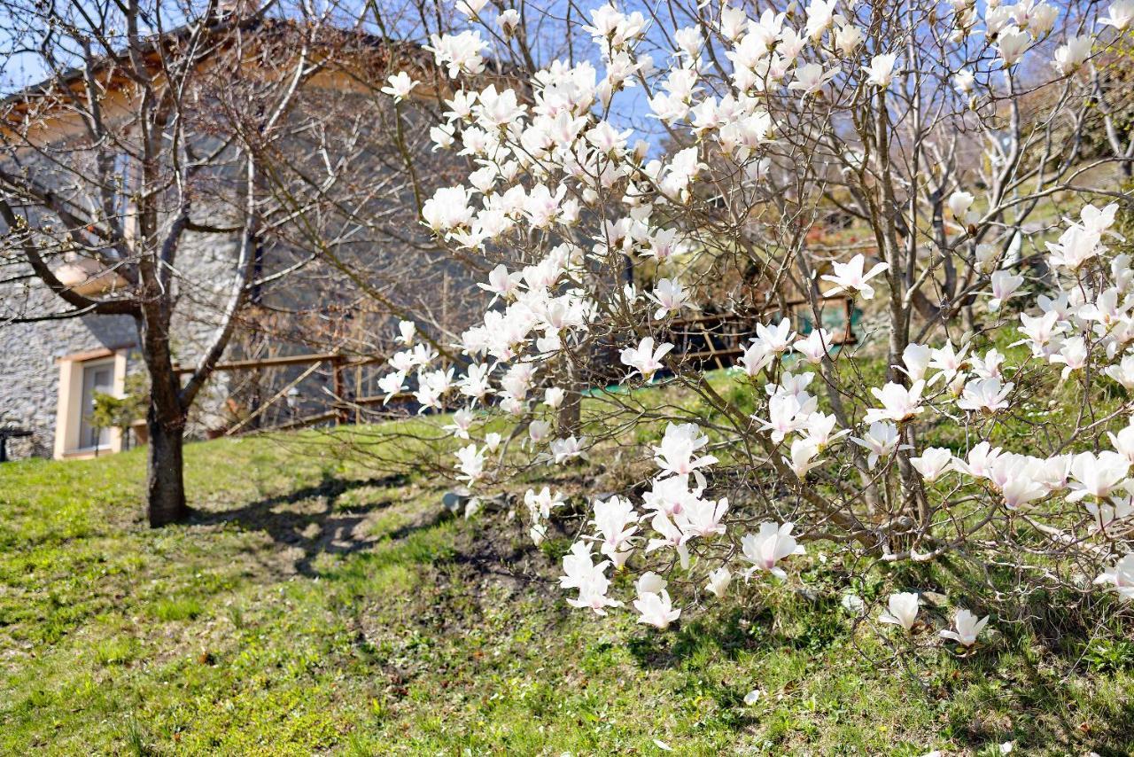 Ormea Casa Dei Tigli 빌라 외부 사진